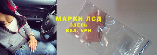 стаф Каменск-Шахтинский
