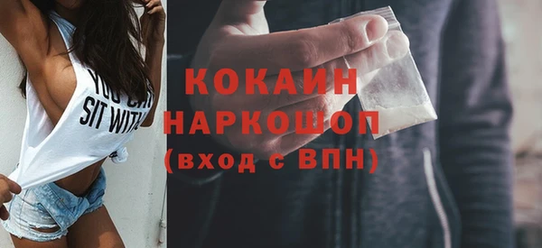 apvp Каменка