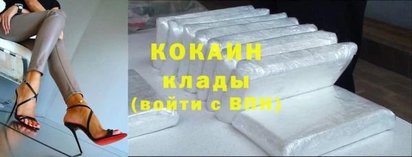 стаф Каменск-Шахтинский