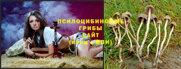 гашик Каменногорск