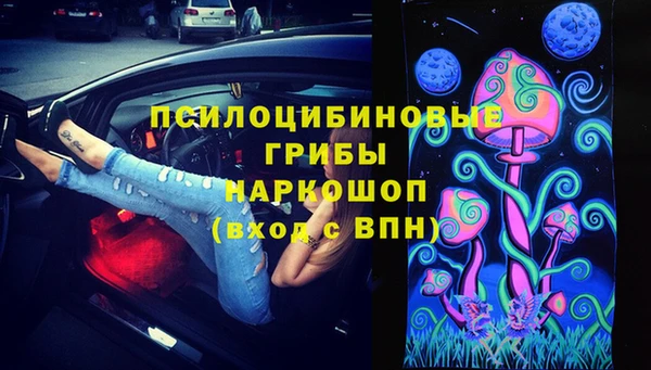стаф Каменск-Шахтинский