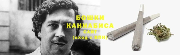 стаф Каменск-Шахтинский