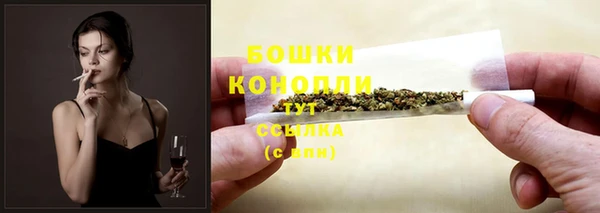apvp Каменка