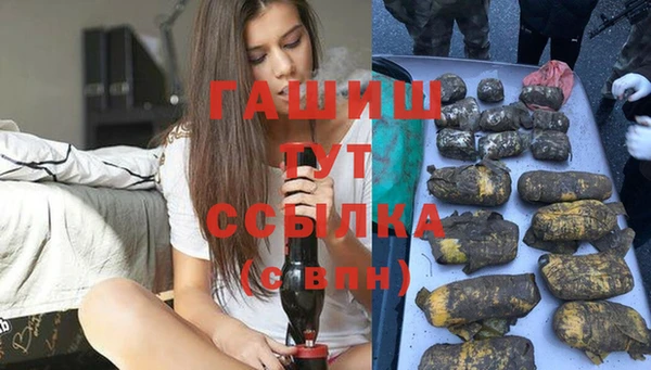 apvp Каменка
