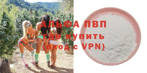 apvp Каменка