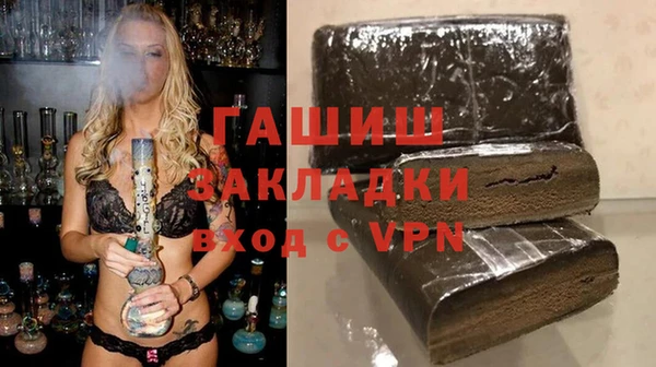 apvp Каменка