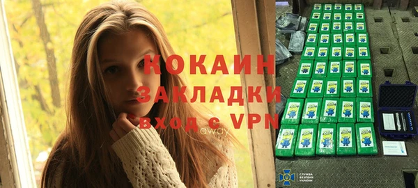 стаф Каменск-Шахтинский