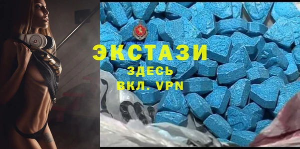 apvp Каменка
