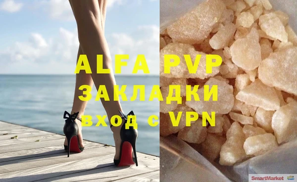 apvp Каменка