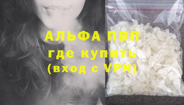 apvp Каменка