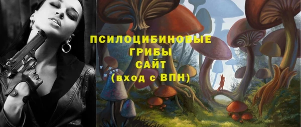 apvp Каменка