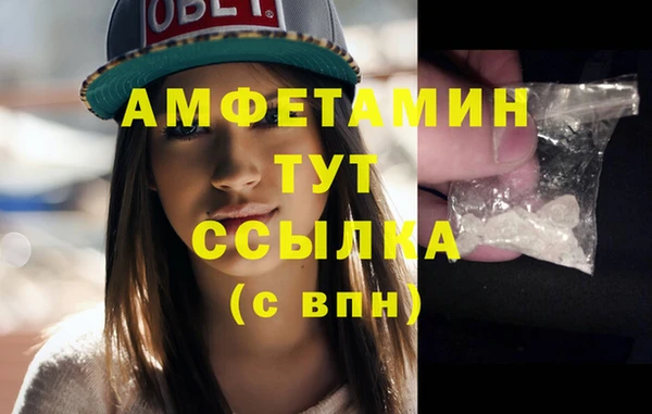стаф Каменск-Шахтинский